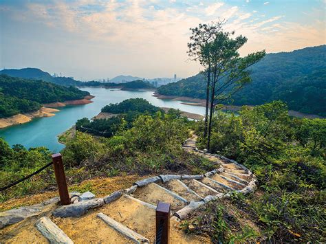 城門水塘|城門水塘